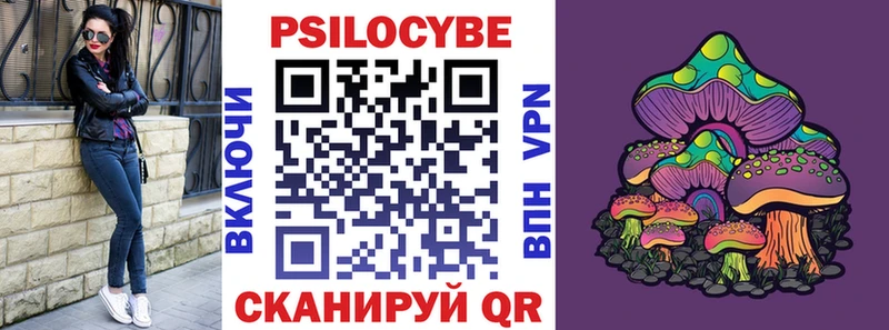 Галлюциногенные грибы Psilocybine cubensis  Лахденпохья 